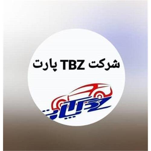 قطعات گیربکس پولادیش (TBZ)